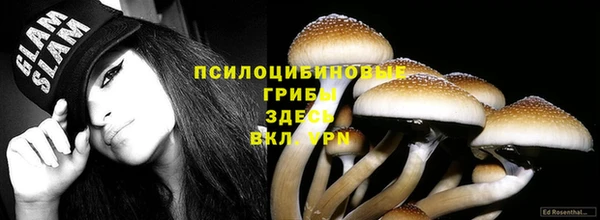 трава Алексин