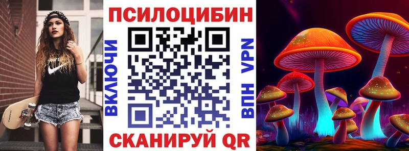 Псилоцибиновые грибы Cubensis  кракен рабочий сайт  Хадыженск 